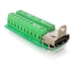 DeLOCK HDMI Adapter: 20-Pin Terminal Block zu HDMI Buchse