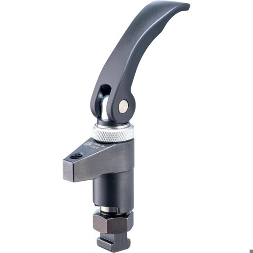 Schwenkbarer Aufsitzspanner Größe 25 mm mit Exzenterschnellspanner – Einstellbar | d1=25 mm | 23310.0026