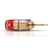 OEHLBACH 3022 Banana Stecker - Gold - Rot | Hochwertige Drahtverbinder für Lautsprecher