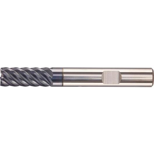 FORTIS VHM AlTiN+ Schaftfräser Lang Z6 45° Schaft 6,0mm