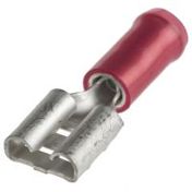 TE Connectivity PIDG FASTON Flachsteckhülse - Rot, Isoliert - 6.35 x 0.81mm - Buchse - 0.3mm² bis 1.5mm² - 22AWG min